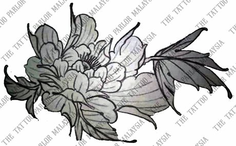 Peony, a flash design by Mazda Beh