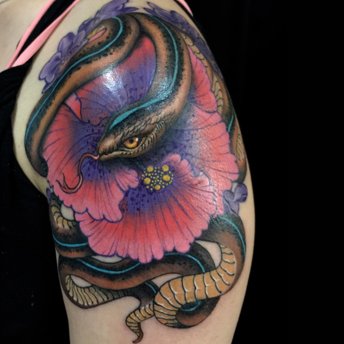 Colour snake and bird on the shoulder